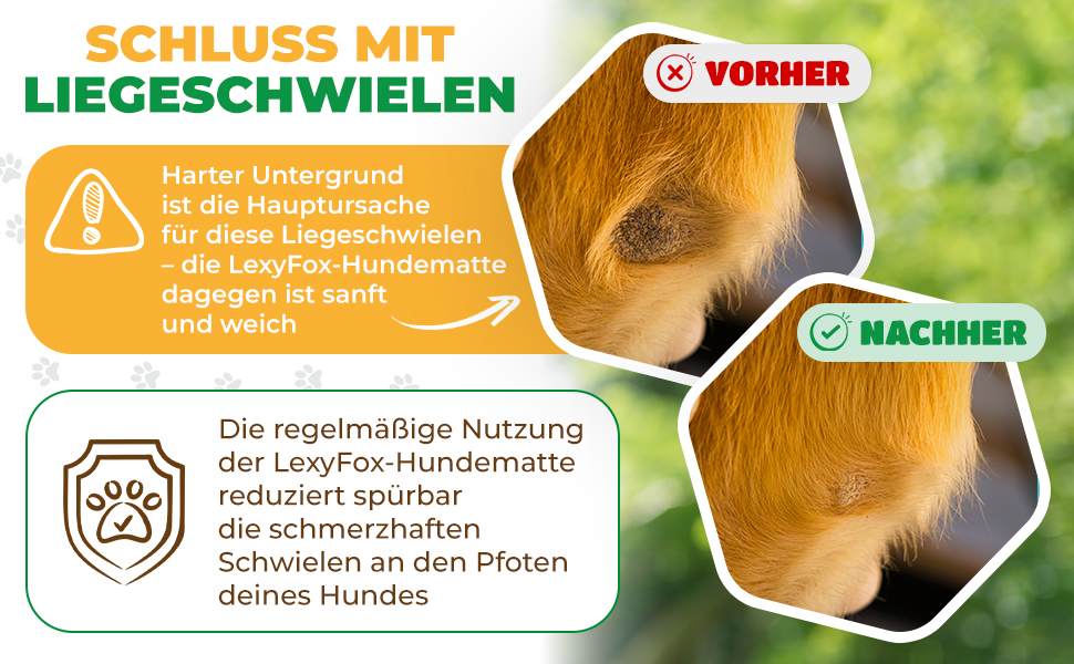 Лежанка для собак LexyFox: водовідштовхувальна, ізольована, з антиковзаючим покриттям | Підходить для подорожей, кемпінгу та відпочинку на природі | Лежанка для собак, килимок для тварин