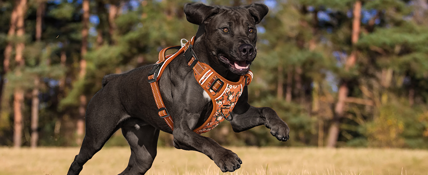 Шлейка для собак HEELE з поглинанням ривка, світловідбиваюча, для середніх собак, з м'яким ручним захопленням, коричнева, розмір M (L - обхват грудей: 43-86 см)