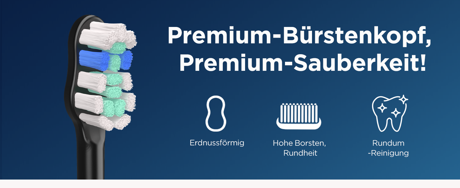 Електрична звукова зубна щітка для дорослих та дітей, 5 режимів чищення, 3 рівні інтенсивності, таймер, 8 насадок, чохол для подорожей, акумуляторна, чорний Obsidianschwarz