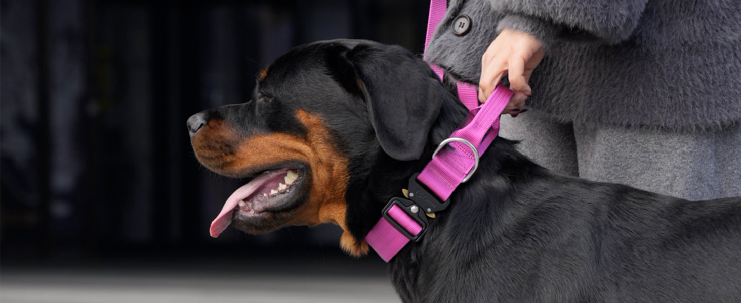 Преміум нашийник для собак TSPRO з ручкою, тактичний, міцний, з металевою застібкою, для середніх та великих собак (червоний L), розмір ручки L (регульований 44.5-62.2 см)