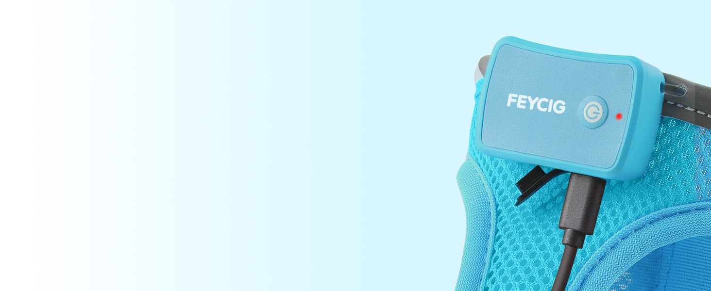 Світлодіодне шлейка для собак з підзарядкою - світлотехнічна шлейка, світловідбиваюча для цуценят, маленьких та середніх собак, нагрудна шлейка, дихаюча шлейка (Синій, Small) Синій Small