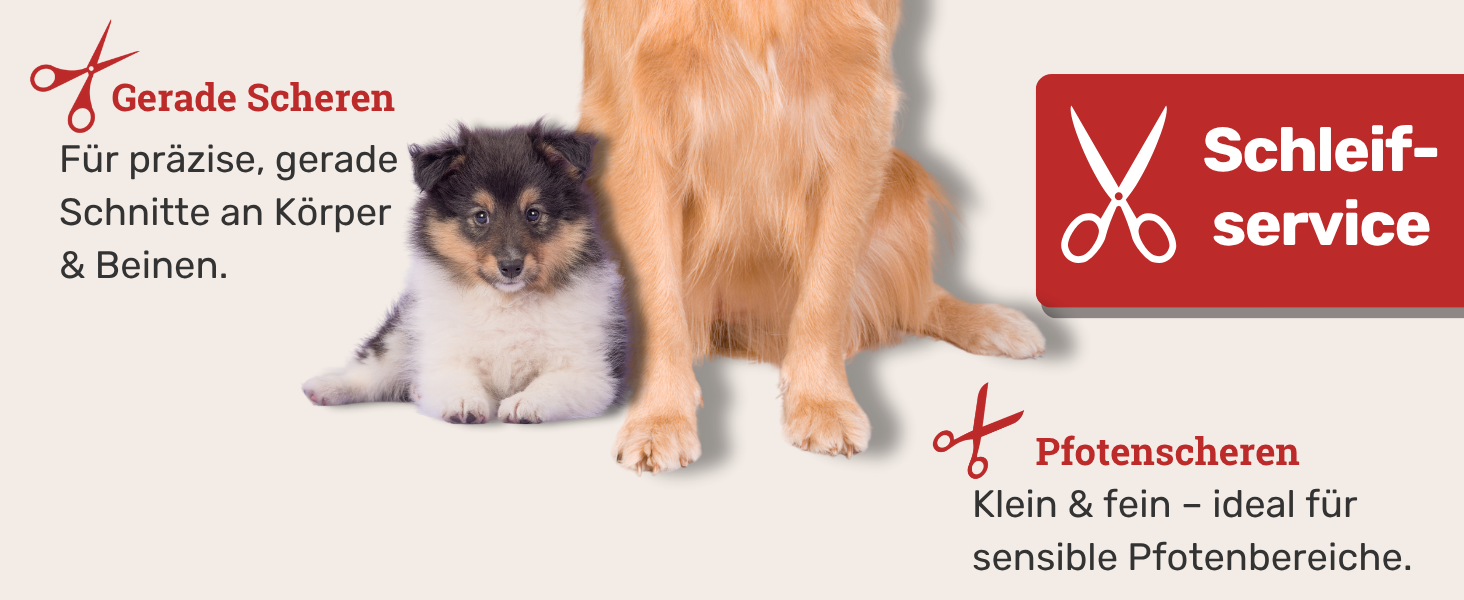 Ножиці для грумінгу собак EHASO Premium, 10 см, з круглою кінцівкою | Професійні ножиці для собак, точні та зручні | Підходять для всіх порід