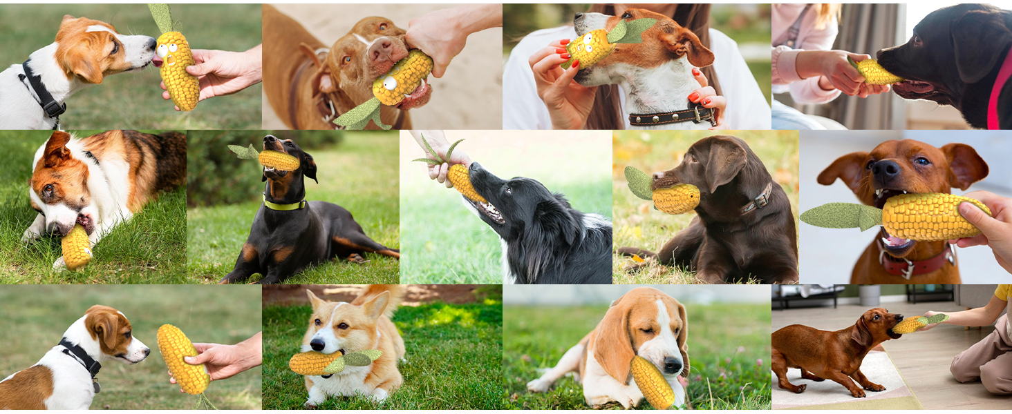 HETOO Dog Toy, indestructible, robust, squeaky, chew toy for aggressive chewers, large and medium dog breeds, dental care (Large, Corn Yellow)
