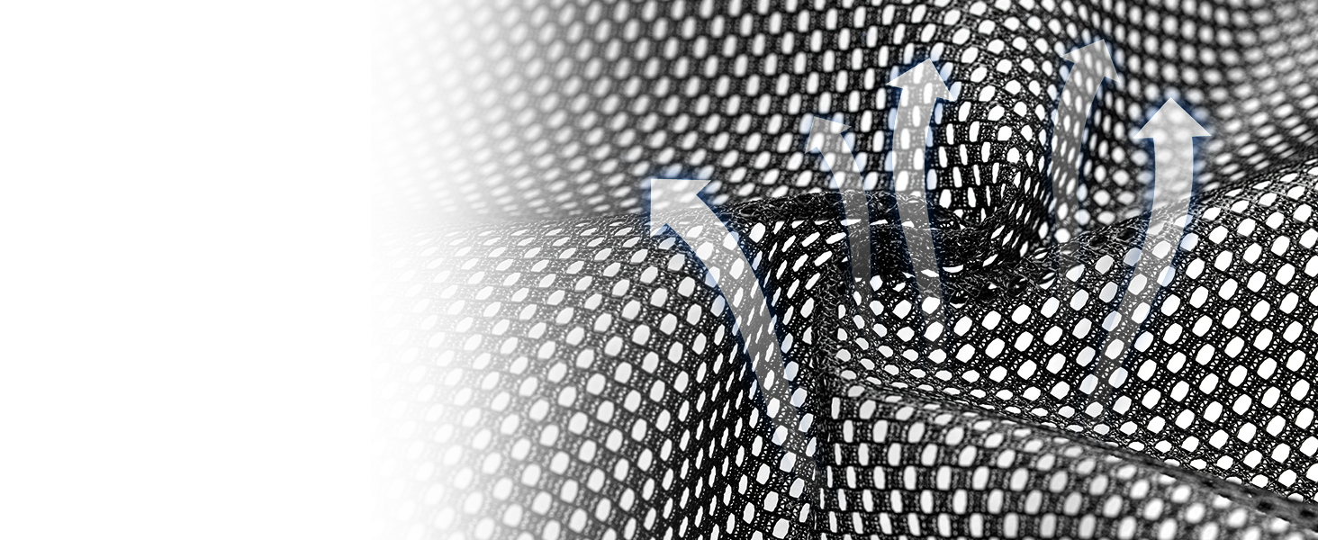 Транспортна переноска для кота та маленького собаки Petsfit, чорна, середнього розміру, з м'яким килимком та патентованими застібками