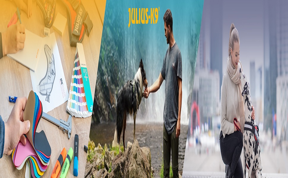 Миска для собак JUIUS K-9 IDC, рожево-сіра, розмір XS