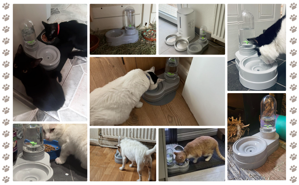 Автоматичний поїльник для котів та собак, 580 мл, фонтанчик для тварин з фільтром (сірий)