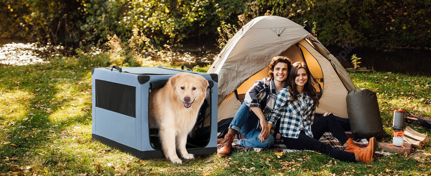 Транспортна переноска для собак та котів Petsfit, складана, для подорожей та авто, блакитна