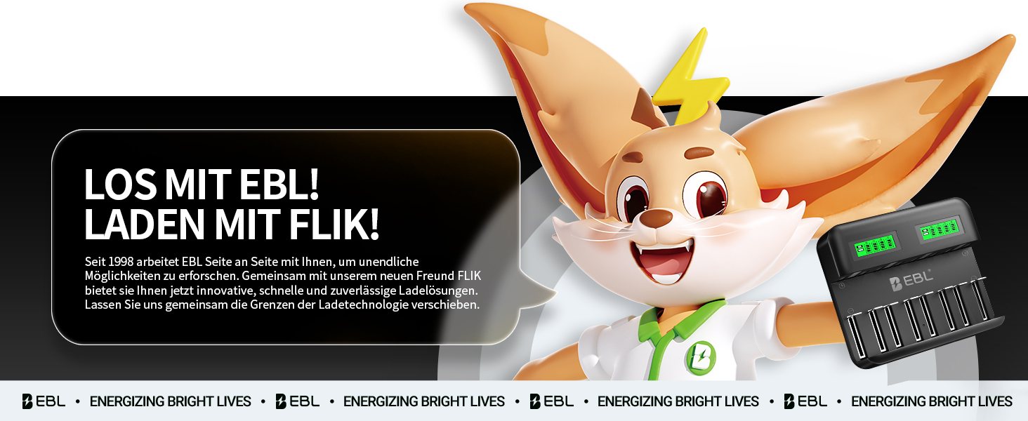 Зарядний пристрій EBL для акумуляторів AA AAA C D NI-MH, Type-C, LCD дисплей, швидка зарядка