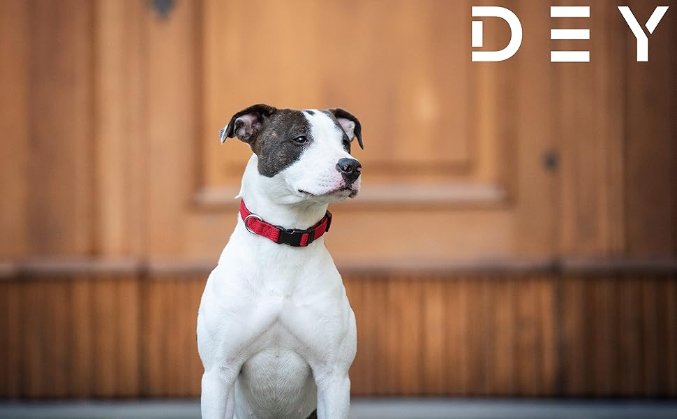 Преміум нашийник для собак DEY Air Mesh | Регульований | для малих, середніх та великих собак | багато кольорів та розмірів | нашийник для собак та котів | нашийники для собак | нашийник для цуценят | Рожевий, M [M/L] - 2,5 x 34-49 см Рожевий