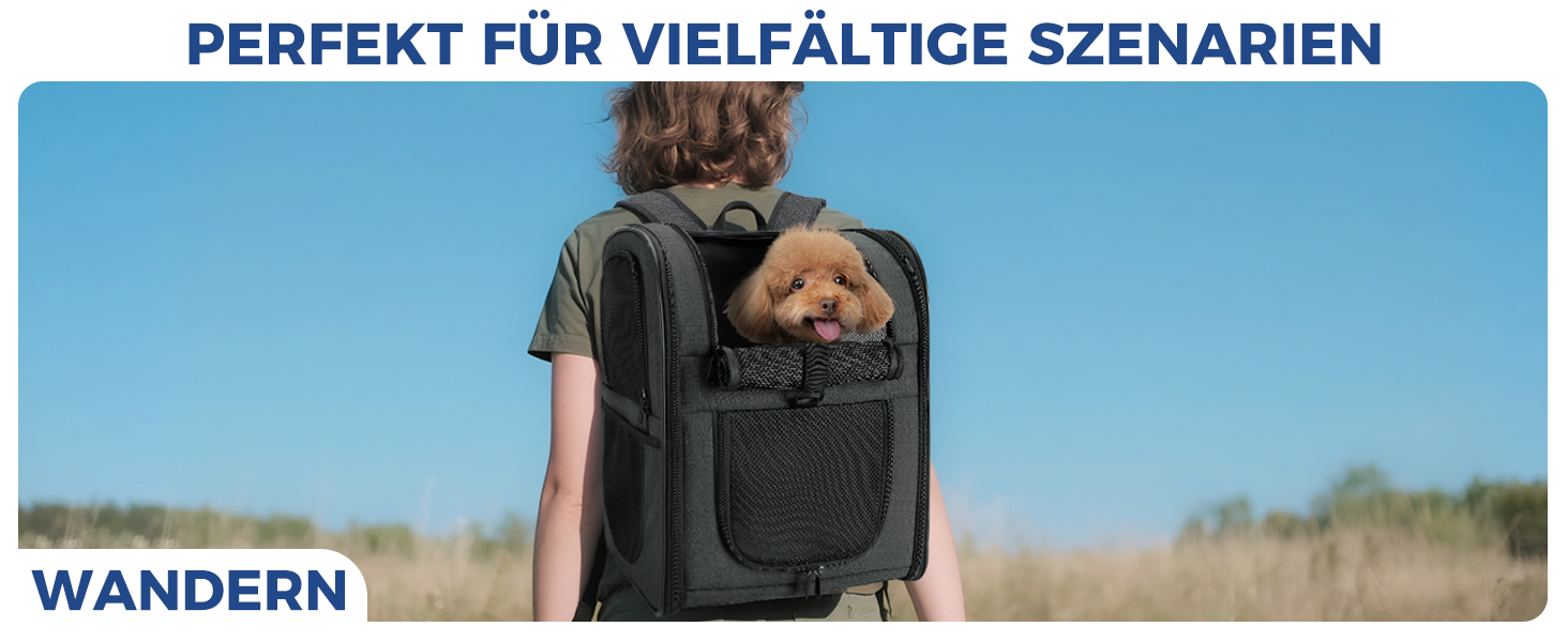 Рюкзак для собак та котів Apollo Walker - зручний та дихаючий, для малих тварин (2-15 кг), чорний