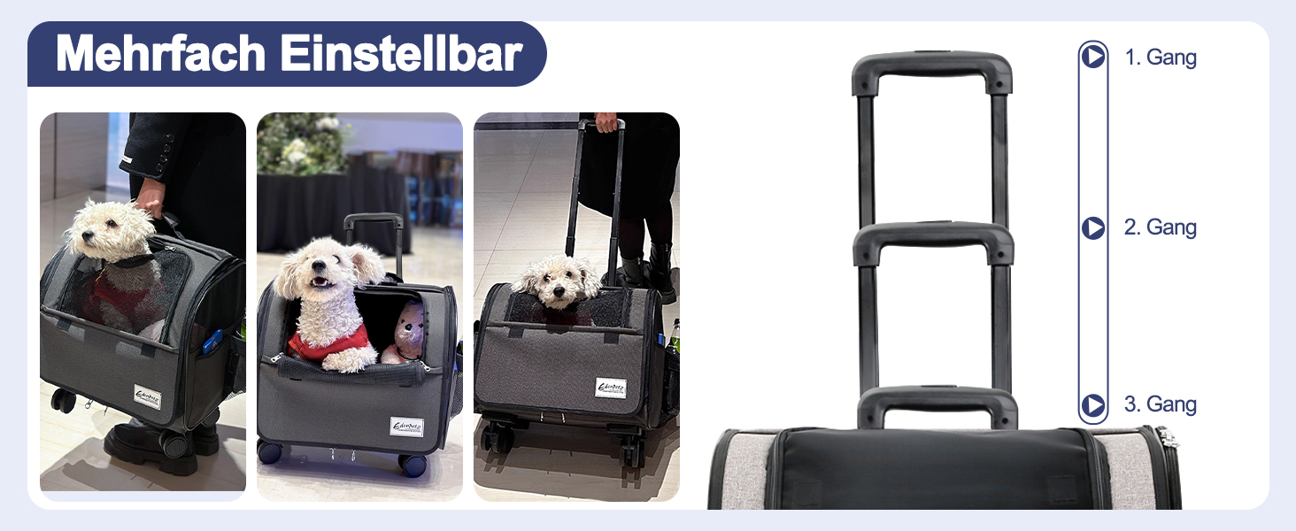 Транспортна сумка для собак та котів Galatée з колесами, розкладний рюкзак-переноска для тварин, сумісна з авіакомпаніями, з дихаючою сіткою (білий)