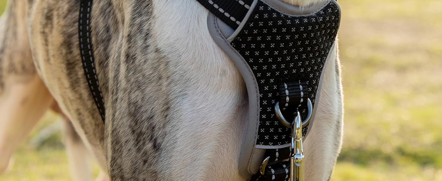 Шлейка безпеки для собак Huntboo, анти-пробіжна, світловідбиваюча з м'якою ручкою, регульована жилетка для маленьких собак, для прогулянок та тренувань (S), чорна, X-Small (упаковка з 1)