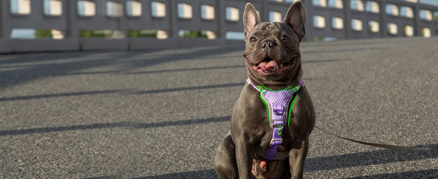 Шлейка для собак Huntboo, безпечна та надійна, з відбиваючими елементами та м'якою ручкою, регульована жилетка для маленьких собак, для прогулянок та тренувань (S, Лавандово-фіолетовий, упаковка з 1)