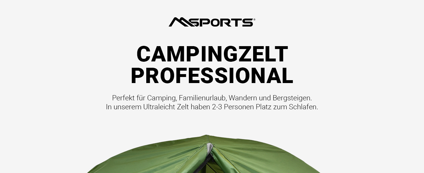 Намет кемпінговий MSPORTS Professional 3 особи, сріблястий, водонепроникний, вітрозахисний, купольний 237x134 см