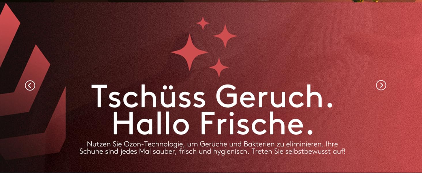 Сушарка для взуття 2 пари з дезодорантом та функцією видалення запаху (110W) | Антибактеріальна сушарка для футбольного, спортивного взуття