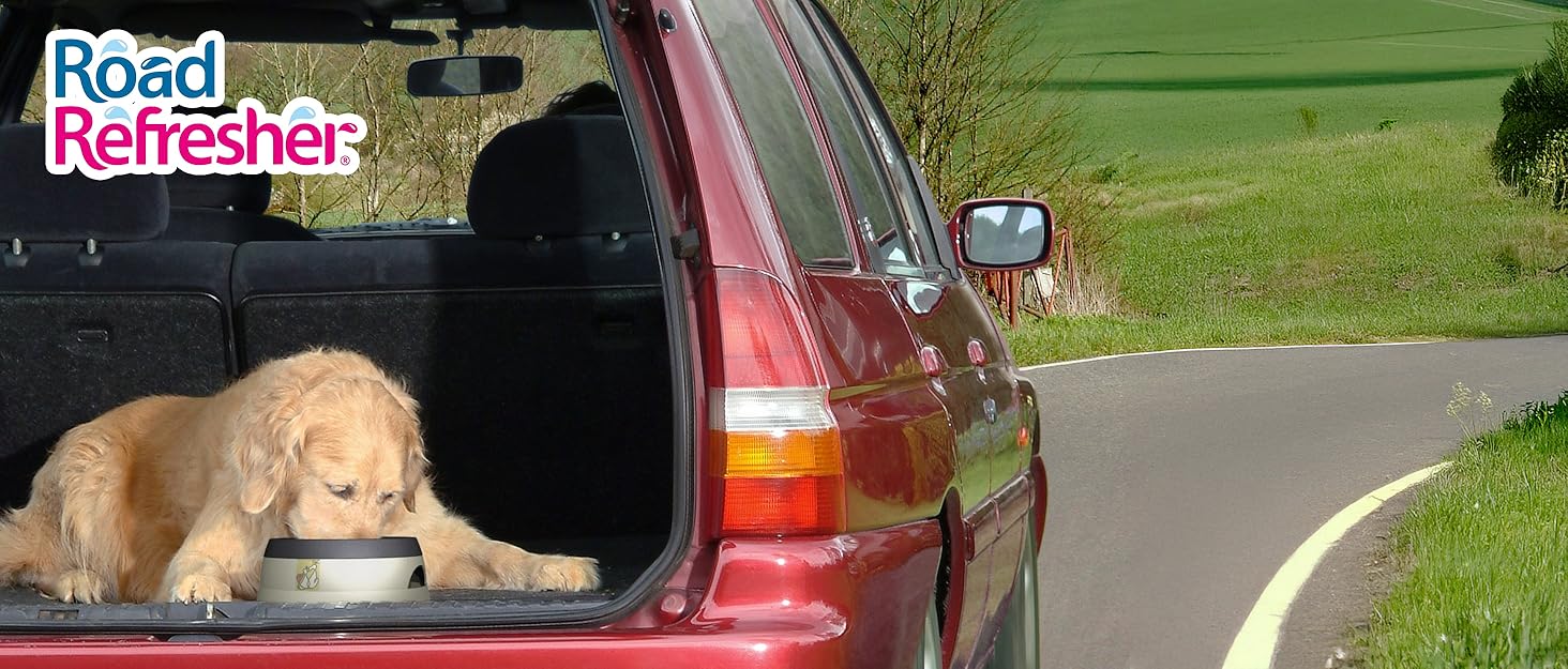 Поїлка для собак Road Refresher - дорожня поїлка для тварин, сіра