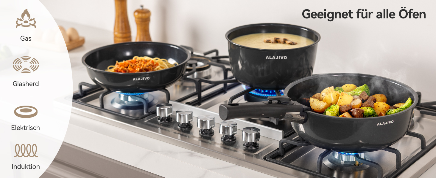 Набір посуду 17 предметів з знімним ручками, антипригарне покриття, для всіх типів плит, включаючи індукційні, сумісний з духовкою (темно-сірий)