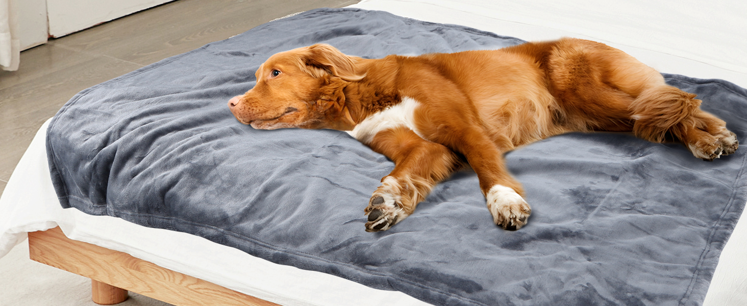 Водонепроникний коврик для собак Nobleza, XXL (203 x 152 см), м'який та пухнастий, для дому та вулиці, підходить для котів, можна прати в пральній машині, двосторонній чохол для дивану, сірий