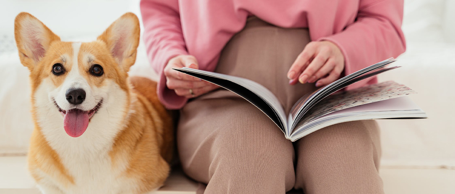 Килимок охолоджуючий для собак NIBESSER, самоохолоджуючий, літо, 100x70 см, сірий