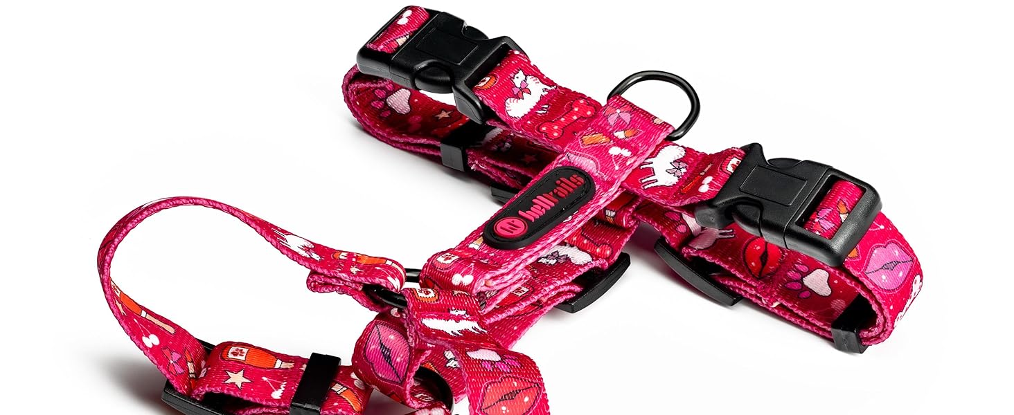 Шлейка для собак середніх порід Champagne Kiss M: регульована, не вбирає вологу, з контролем, легка