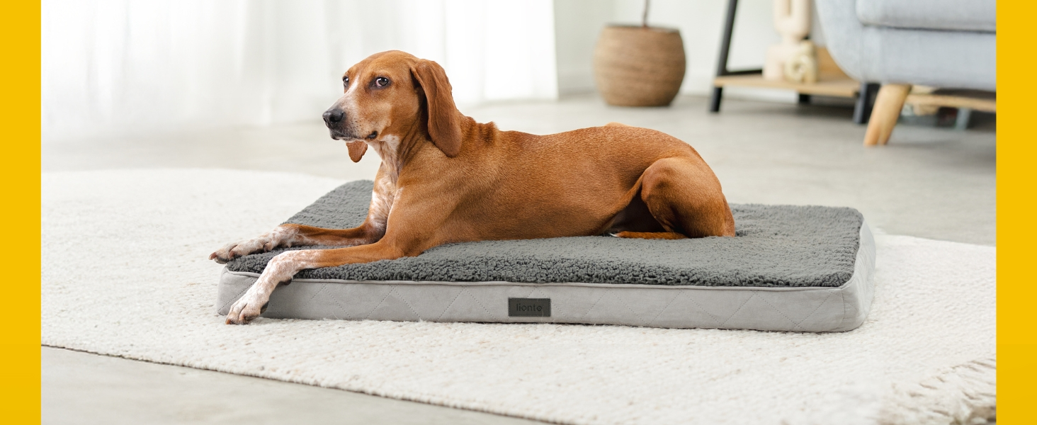 Ортопедичне ліжко для собак Lionto, 60x40x8 см, з м'яким плюшем, знімний та пральний чохол, водовідштовхувальне, для собак та котів, сірого кольору