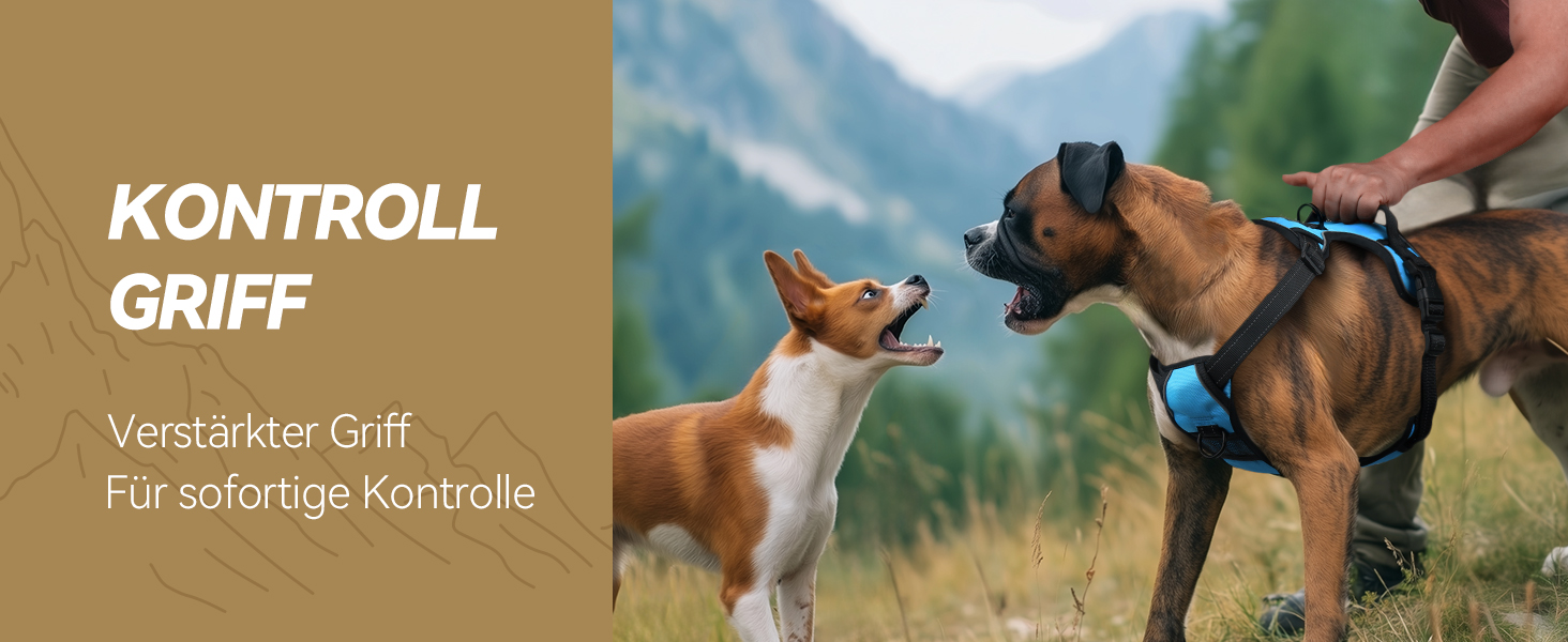 Шлейка для собак VIVAGLORY Easefit, анти-тяга, з ручкою, для тренувань та прогулянок, з м'якою підкладкою, не тягне, захист від вислизання, чорна, M (51-74 см обхват грудної клітки)