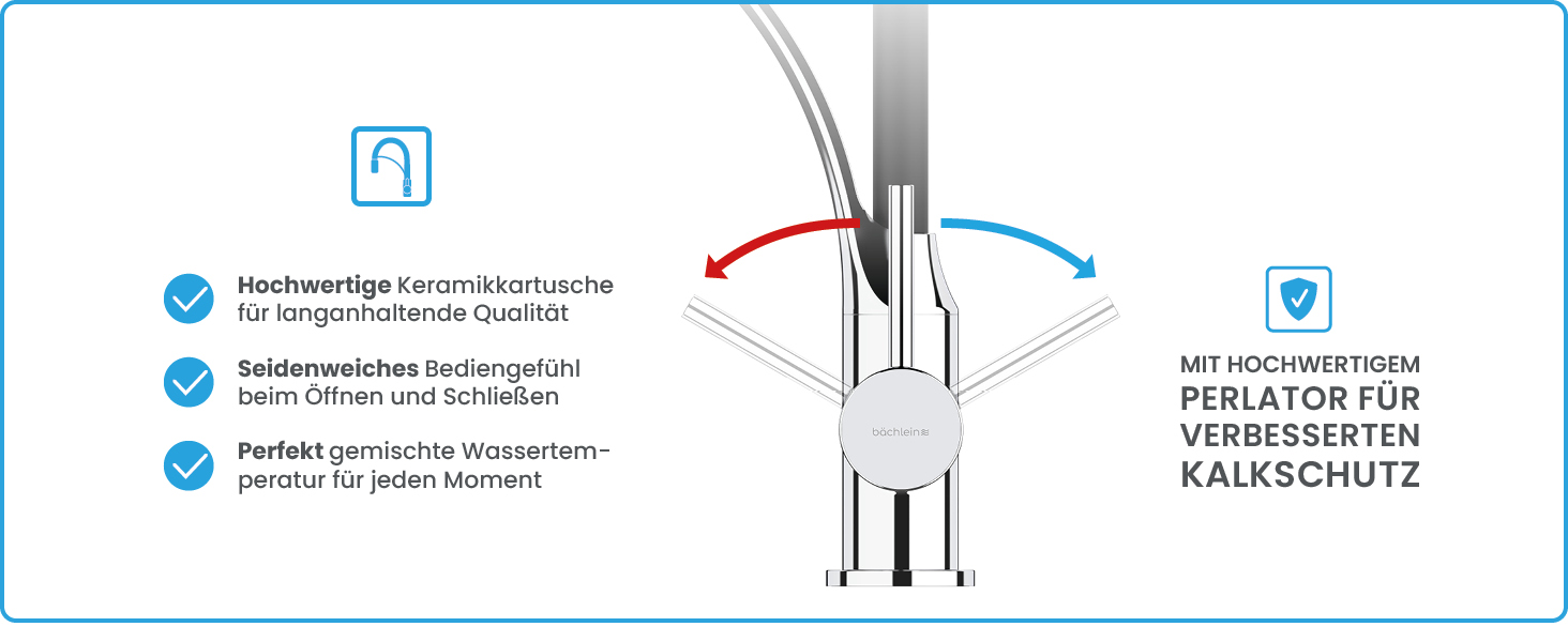 Кухонний змішувач Bächlein Nedo – поворотний на 360° з нержавіючої сталі, з гнучкою голкою та виливним гусаком з перемикачем, для кухні (гнучкий)