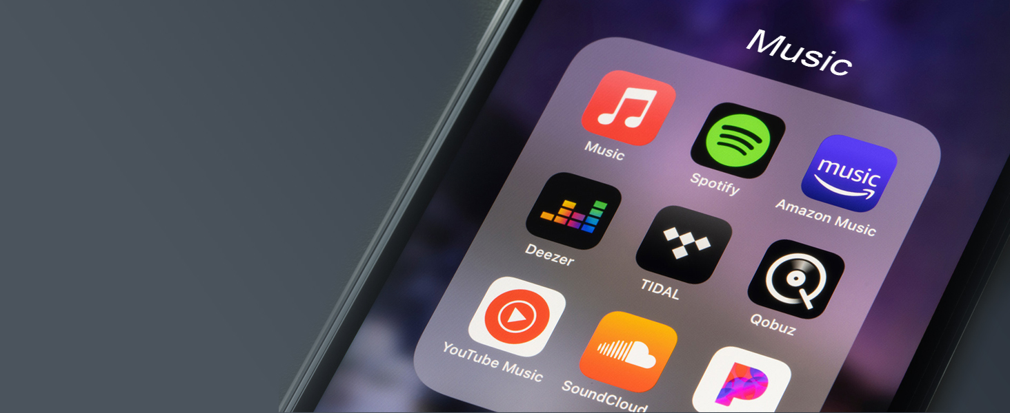 1Mii Bluetooth 5.3 HiFi Аудіоприймач для стереосистеми: Bluetooth адаптер з DAC (384kHz / 32bit), aptX HD, LDAC, оптичний/RCA вихід для AV ресивера або підсилювача (Чорний)