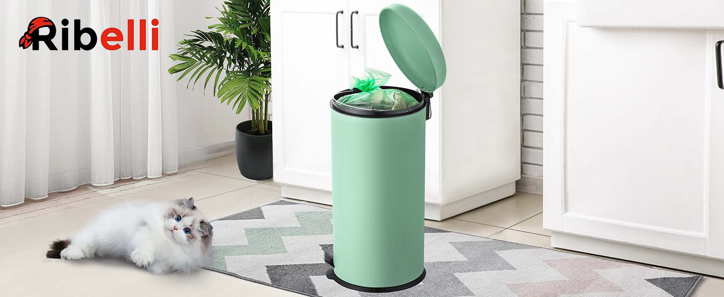 Сміттєве відро Ribelli 30 л з нержавіючої сталі, з педальним механізмом, з внутрішнім відром, м'яке закриття, сортування сміття, кругле (м'ятний)