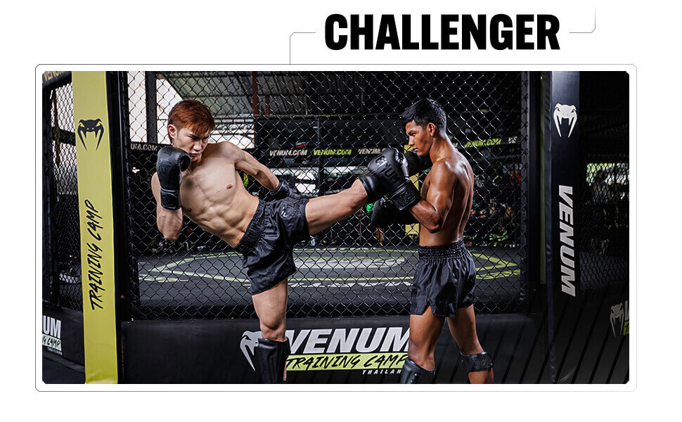 Боксерські рукавички Venum Challenger 2.0