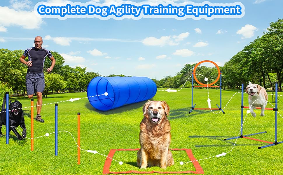 Набір для аджиліті для собак, 65 предметів: тунель, перешкоди, фігури для слалому, кільце для стрибків, м'ячики, переносна коробка, сумка для ласощів, сумка для перенесення
