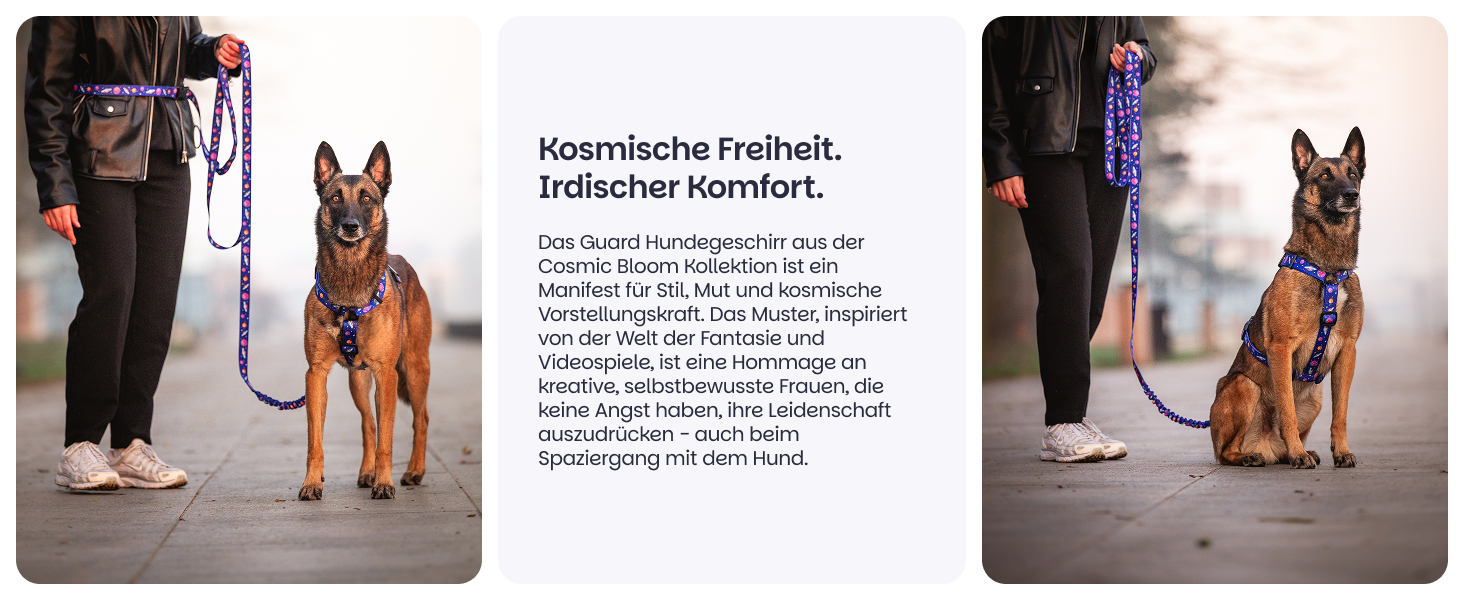 Шлейка для собак середніх порід Champagne Kiss M: регульована, не вбирає вологу, з контролем, легка