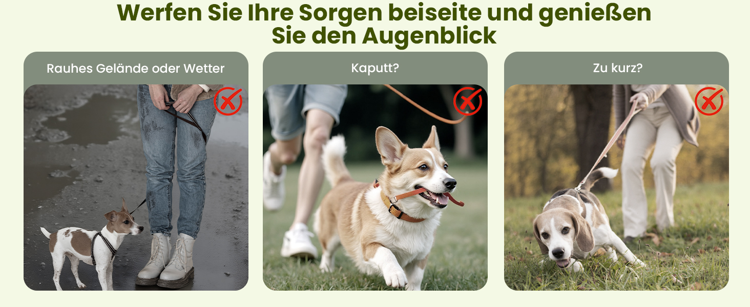 Рулетка для собак Pecute 8м, бісостійка, з набором для збору відходів, 360° без перекручування, для собак середніх та великих (15-50кг), зелена