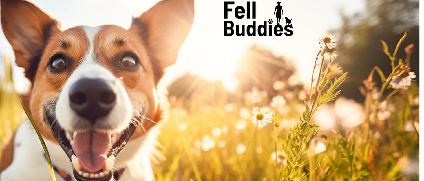 Професійна щітка для собак Zupfbürste: розплутування та догляд за шерстю | Для розплутування вузлів та вичісування