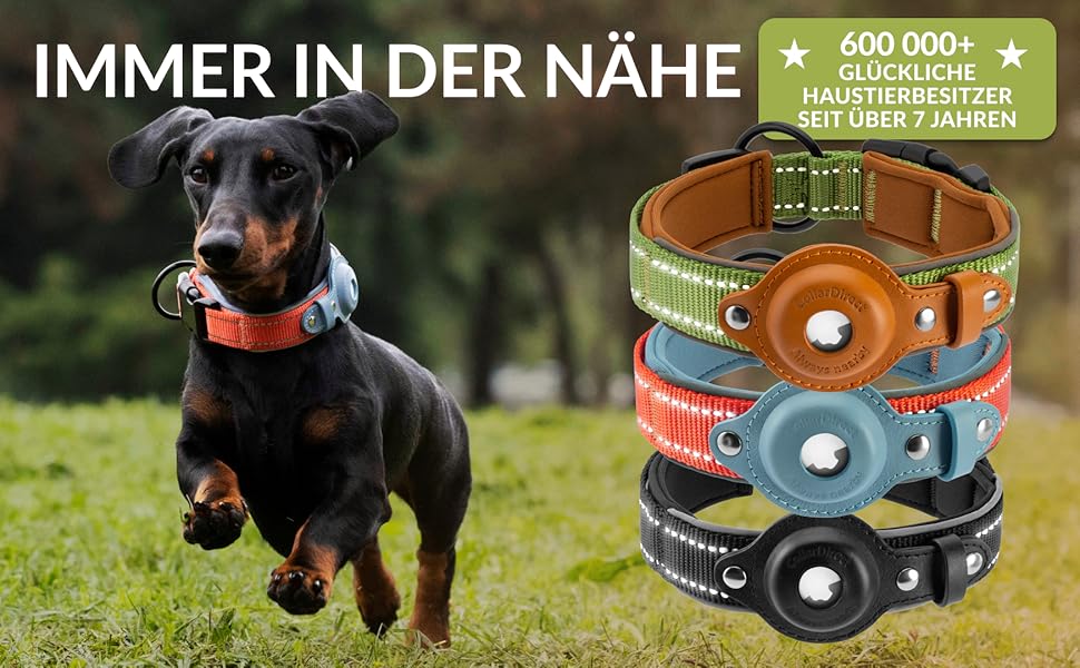 Нашийник для Apple AirTag з відбиваючим матеріалом, CollarDirect, для собак великих, середніх та малих порід, зелений, розмір L (42-51 см)