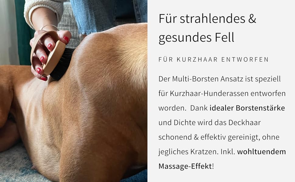 Щітка для собак Buddy Bruno® для короткошерстих порід, 100% натуральна щетина, для щоденного догляду за шерстю, преміум-щітка для собак та котів, з очищувачем, MADE IN DE