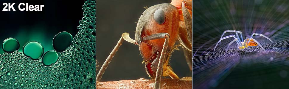 Цифрова мікроскоп-камера Ninyoon 1080P USB для iPhone, iPad, Android, PC, 50-1000x, з підсвічуванням