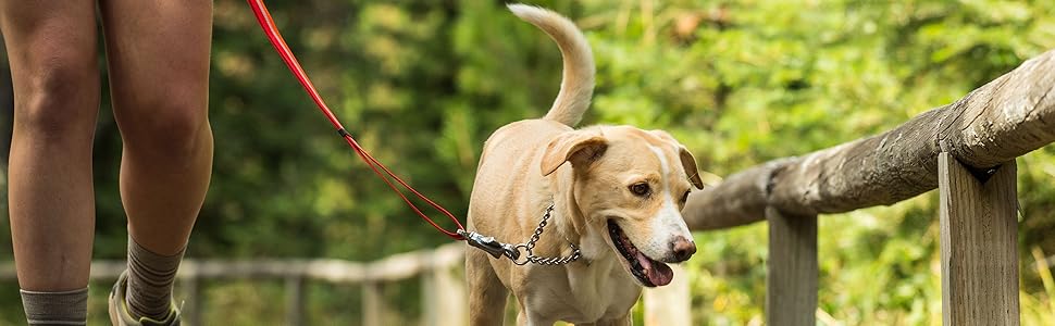 Ruffwear Chain Reaction регульований нашийник для собак, металевий ланцюжок