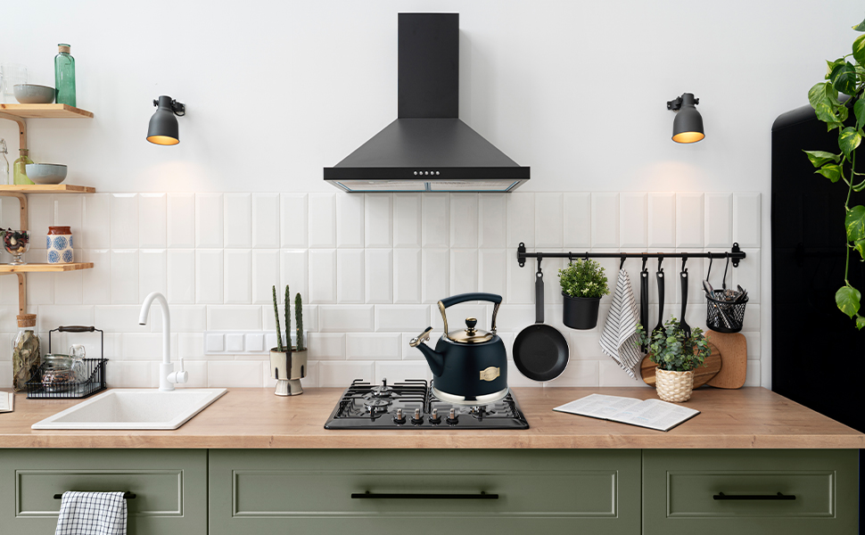 Чайник для кемпінгу з нержавіючої сталі 3L, з носиком, для плити та індукції, чорний