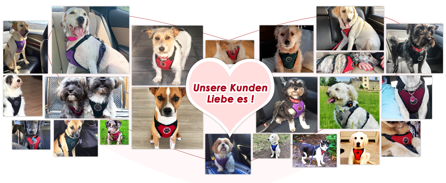 Шлейка для собак SlowTon з кріпленням для авто, чорна, розмір L. Двошарове дихаюче мереживне полотно з латексу, підходить для щоденних занять спортом.