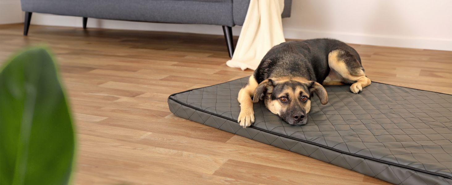 Ортопедичний килимок для собак Lionto з Memory Foam, 80x55 см, сірий. Знімний чохол, антиковзаюча підкладка.