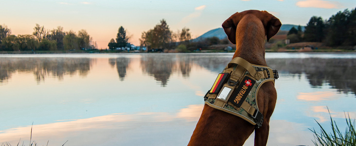 Нагрудник для собак Rabbitgoo середнього розміру, анти-тяга, регульований, з ручками, міцний, тактичний, з металевими пряжками, камуфляжний, коричневий (M, 1 шт.)