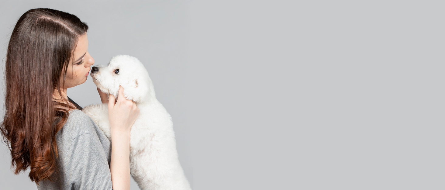 Нашийник для собак з натуральної шкіри та поводок-комбінований набір. Регульований нашийник для цуценят та собак маленьких та середніх порід. Білий, XS, S, M