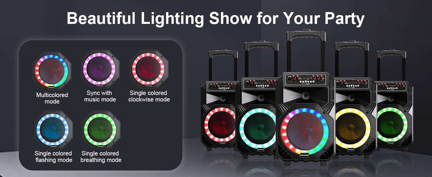 Караоке-машина з 2 бездротовими мікрофонами, коліщатками та ручкою-телескопом - портативна Bluetooth-система з акумулятором 8800mAh, PA-система з підсвічуванням, регулюванням басів/високих частот/ефектом ехо для вечірок, для дому A5