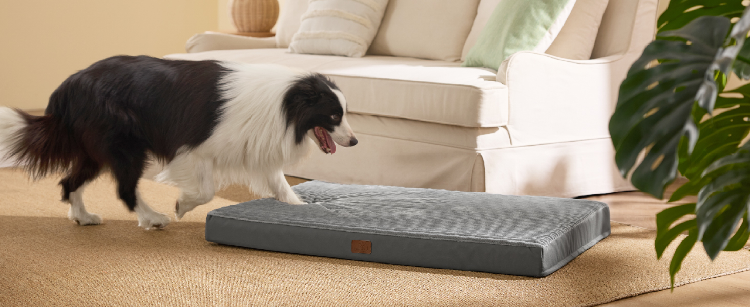 Крісло-ліжко для собак середніх порід BEDSURE - 89x56x7 см. Комфортне килим для собак з антиковзною основою та знімним, пральним чохлом. Матрац для собак з піною 
