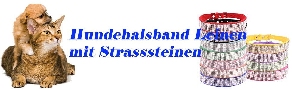 Набір для собак та котів: блискучий нашийник та поводок зі стразами, чорний. Нашийник, шлейка, поводок для собак та котів.