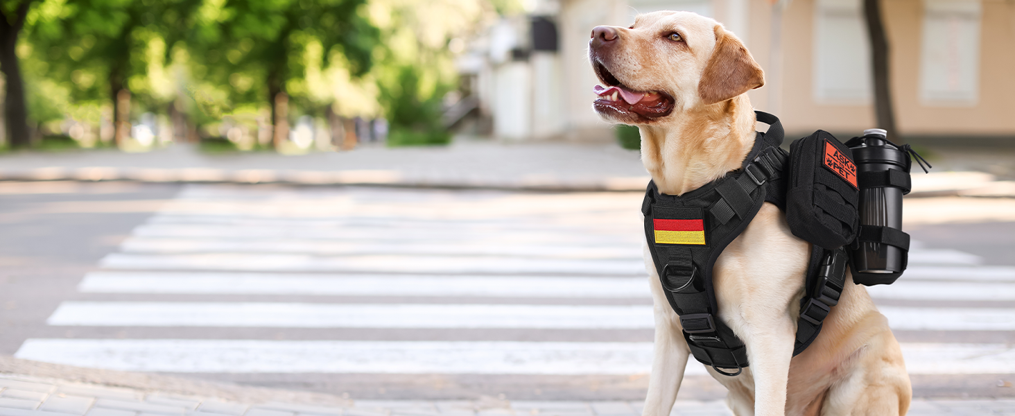 Шлейка для собак Rabbitgoo для великих собак без натягу, тактична нагрудна шлейка з MOLLE, металеві пряжки, дихаюча, військова, чорна, розмір L (1 шт.)