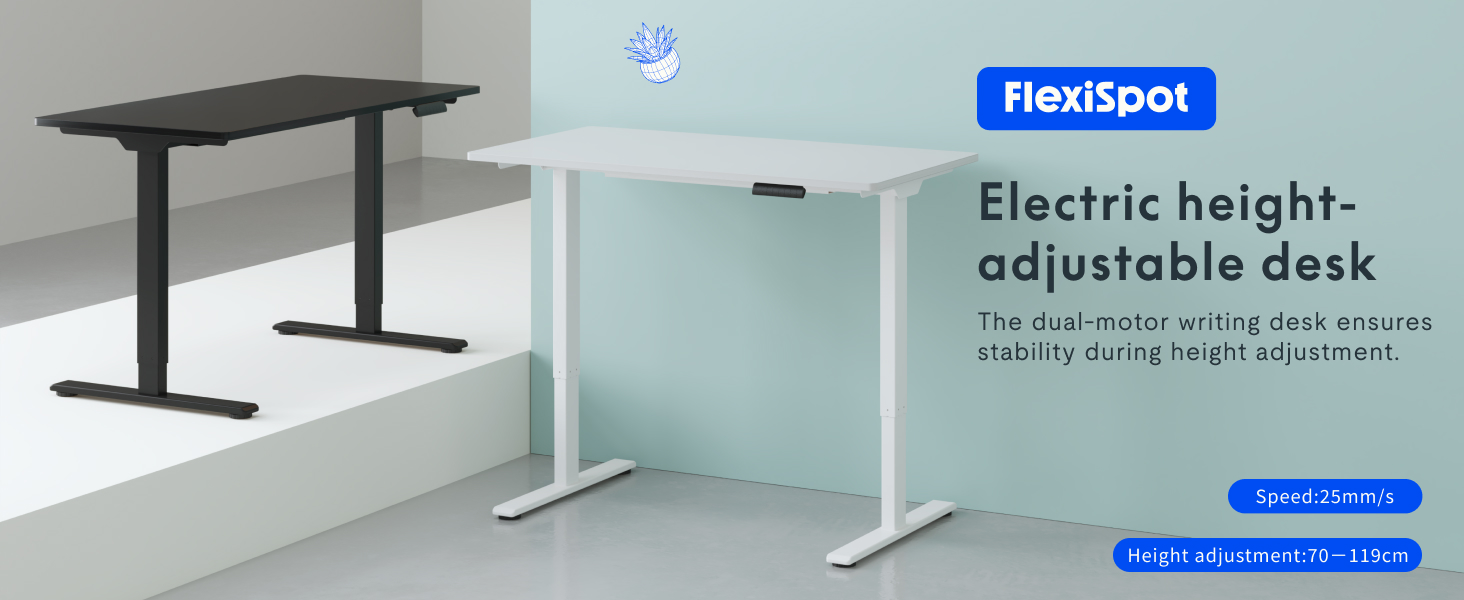 FLEXISPOT Electric Standing Desk - 160x80cm - Height Adjustable Desk with Memory Function (Black)