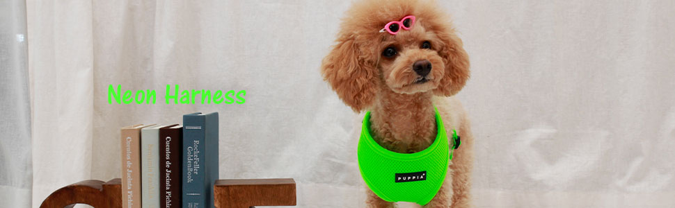 Нашийник для собак Puppia Neon Pink XL - Комфортний та якісний, також як жилет для собак