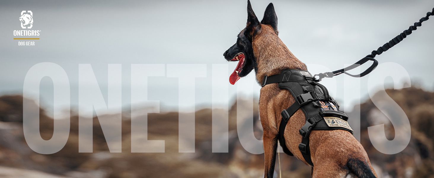 Шлейка для собак OneTigris T-Bone, тактична, з двома ручками, чорна, M (14-27 кг)